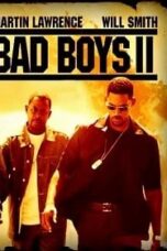 Bad Boy 2 (2003) คู่หูขวางนรก ภาค 2