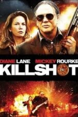 Killshot (2008) พลิกนรก