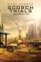 วงกตมฤตยู 2 สมรภูมิมอดไหม้ Maze Runner 2 The Scorch Trials วงกตมฤตยู 2 สมรภูมิมอดไหม้ Maze Runner 2 The Scorch Trials
