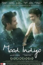 Mood Indigo (2013) รักนี้มหัศจรรย์
