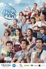 Pohn-Jak-Fah (2016) พรจากฟ้า Pohn-Jak-Fah (2016) พรจากฟ้า