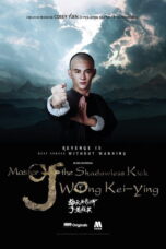 Master of the Shadowless Kick Wong Kei-Ying (2017) ยอดยุทธ พ่อหนุ่มหมัดเมา 2