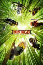 The LEGO Ninjago Movie (2017) เดอะ เลโก้ นินจาโก มูฟวี่