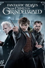 Fantastic Beasts 2 The Crimes of Grindelwald (2018) Fantastic Beasts 2: The Crimes of Grindelwald (2018) สัตว์มหัศจรรย์ 2: อาชญากรรมของกรินเดลวัลด์