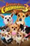 Beverly Hills Chihuahua 3 Viva La Fiesta (2012) คุณหมาไฮโซ โกบ้านนอก ภาค 3 Beverly Hills Chihuahua 3 Viva La Fiesta (2012) คุณหมาไฮโซ โกบ้านนอก ภาค 3