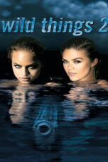 Wild thing 2 (2004) Wild thing 2 (2004) เกมซ่อนกล 2