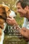 A Dog's Journey (2019) A Dog's Journey (2019) หมา เป้าหมาย และเด็กชายของผม 2