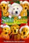 Santa Buddies (2009) Santa Buddies (2009)