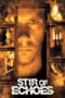Stir of Echoes (1999) Stir of Echoes (1999) เสียงศพ สะท้อนวิญญาณ
