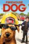 Firehouse Dog (2007) ยอดคุณตูบ ฮีโร่นักดับเพลิง