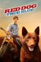 Red Dog True Blue (2016) Red Dog True Blue (2016)
