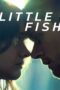 Little Fish (2020)