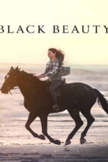 Black Beauty (2020) Black Beauty (2020) แบล็คบิวตี้