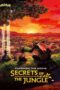 Pokemon the Movie Secrets of the Jungle (2020) Pokemon the Movie Secrets of the Jungle (2020) โปเกมอน เดอะ มูฟวี่ ความลับของป่าลึก