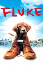 Fluke (1995) Fluke (1995) เกิดใหม่กลายเป็นหมา