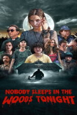 Nobody Sleeps in the Woods Tonight (2020) คืนผวาป่าไร้เงา