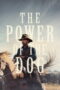 The Power of the Dog (2021) The Power of the Dog (2021)