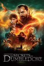 Fantastic Beasts The Secrets of Dumbledore (2022) Fantastic Beasts The Secrets of Dumbledore (2022) สัตว์มหัศจรรย์ ความลับของดัมเบิลดอร์