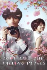 Love Like the Falling Petals (2022) Love Like the Falling Petals (2022) ใบไม้ผลิที่ไม่มีเธอเป็นซากุระ