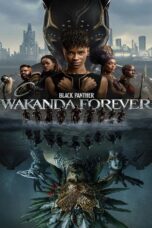 Black Panther Wakanda Forever (2022) Black Panther Wakanda Forever (2022) แบล็ค แพนเธอร์ วาคานด้าจงเจริญ