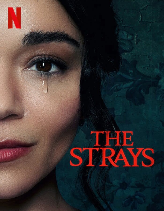 The Strays (2023) คนหลงทาง