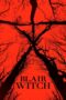 Blair Witch (2016) แบลร์ วิทช์ ตำนานผีดุ