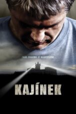 Kajinek Kajinek (2010) คนคดีเดือด