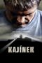 Kajinek Kajinek (2010) คนคดีเดือด
