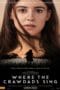 Where the Crawdads Sing (2022) ปมรักในบึงลึก